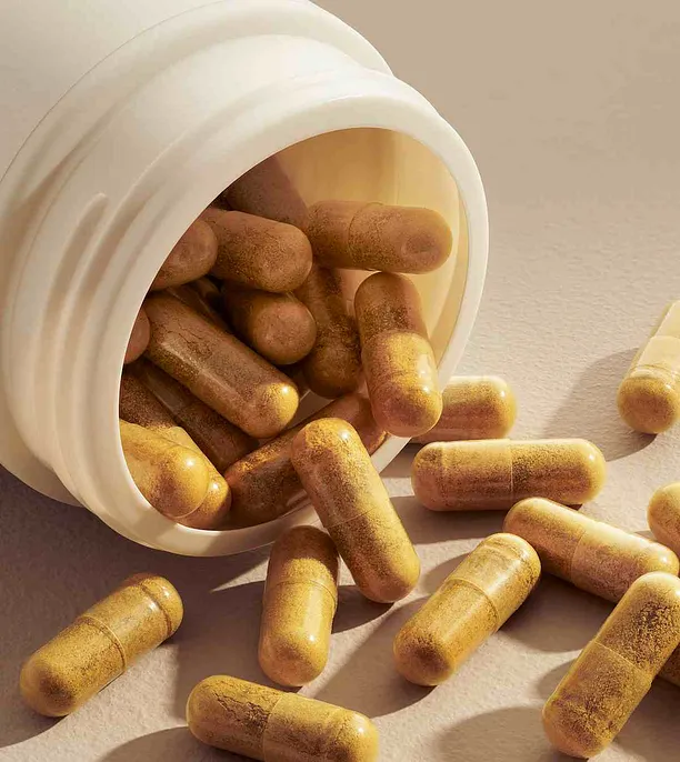 Berberine Complex Key functional areas